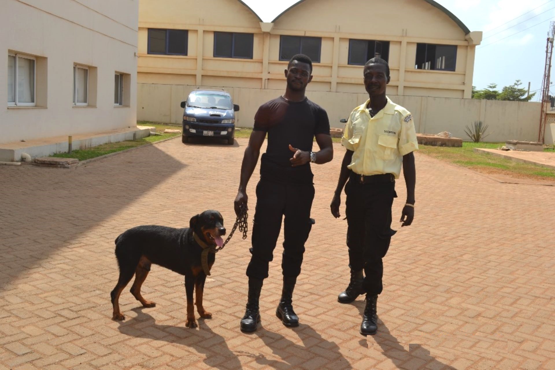 Dog Guarding